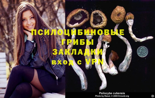 ПСИЛОЦИБИНОВЫЕ ГРИБЫ Алексин