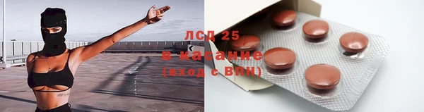 ПСИЛОЦИБИНОВЫЕ ГРИБЫ Алексин